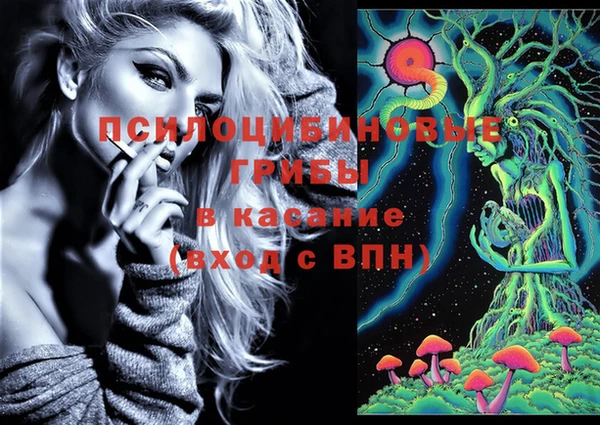 герыч Куйбышев