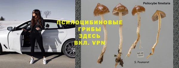 крисы Краснотурьинск